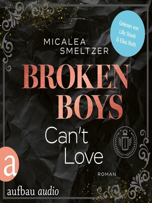 cover image of Broken Boys Can't Love--College Sports Romance--The Aldridge Boys, Band 5 (Ungekürzt)